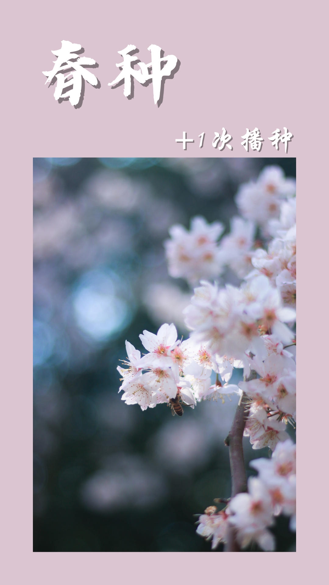 2.png 2.png