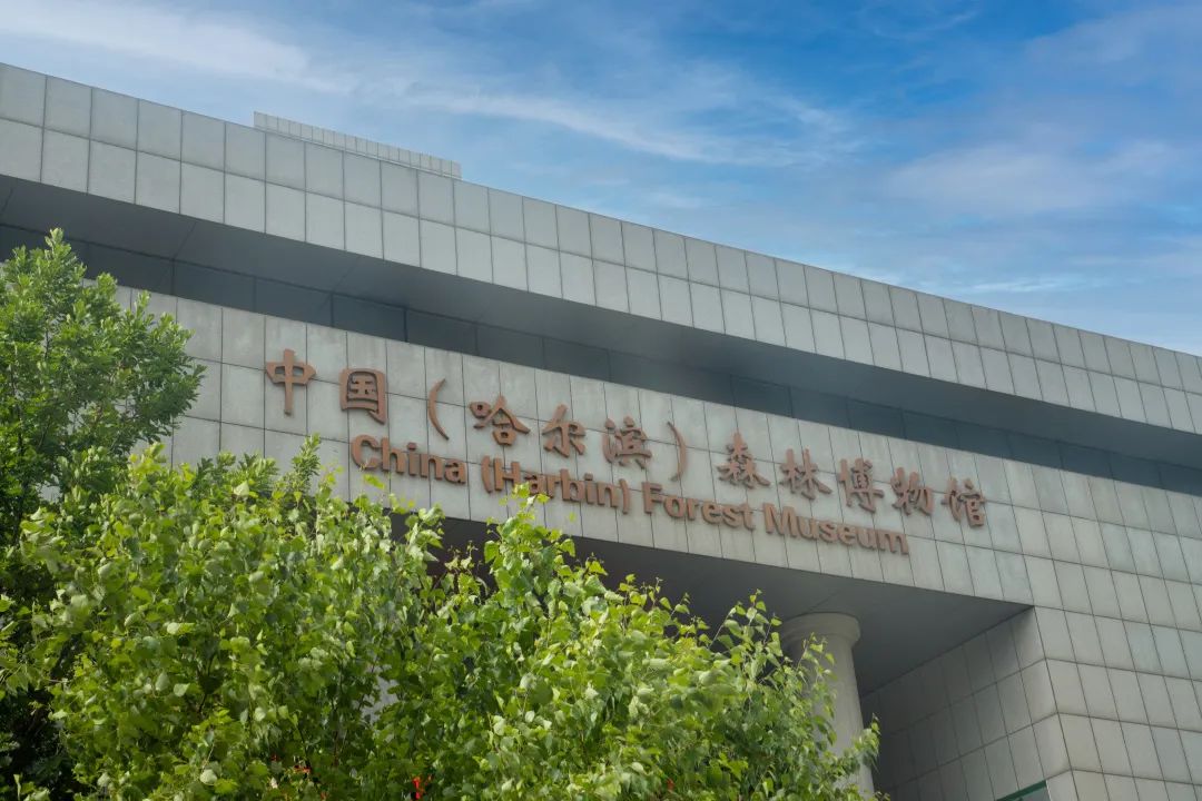 微信图片_20230624201814.jpg 微信图片_20230624201814.jpg