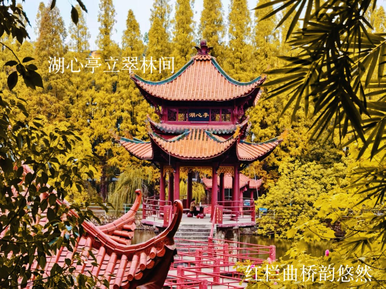 湖畔翠林相拥,湖心亭静立,红瓦飞檐、红栏曲桥相连,古韵流淌。