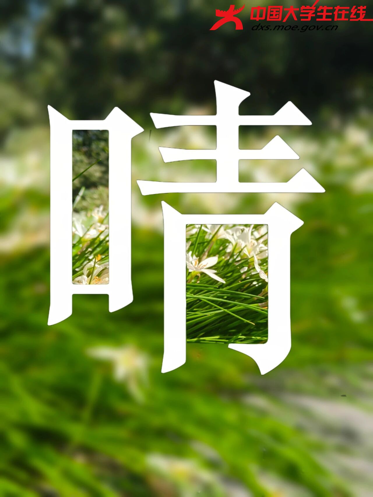 晴天 图源：河南农业大学