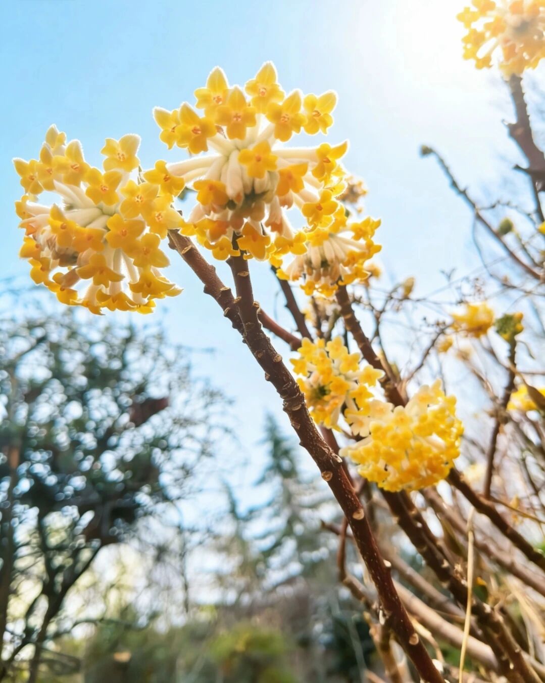 微信图片_2026-03-24_191730_796.jpg 微信图片_2026-03-24_191730_796.jpg