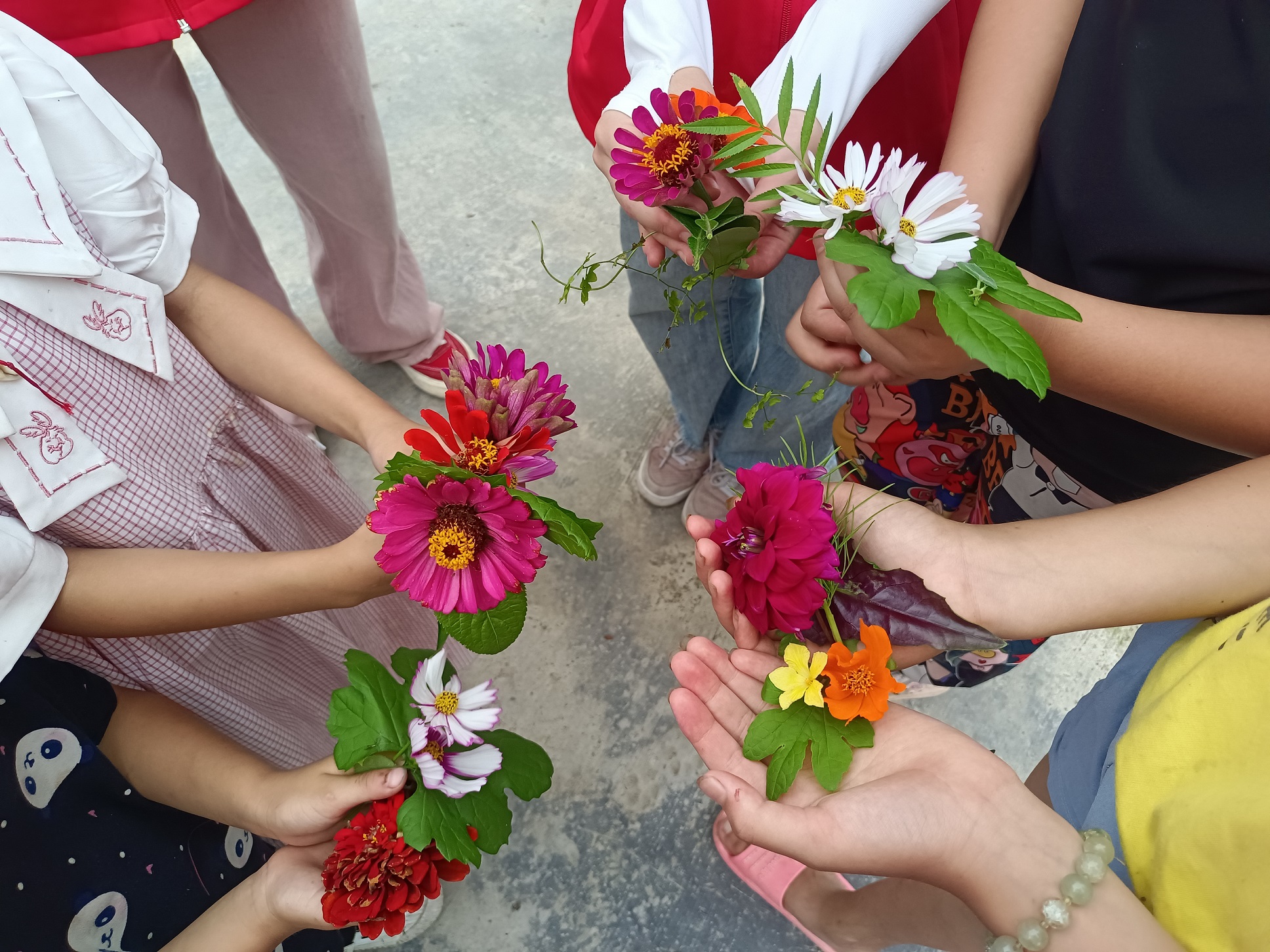 图8:图为拓染前小朋友们选择的材料.jpg 图8:图为拓染前小朋友们选择的材料.jpg