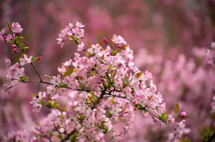 屏幕截图 2026-04-14 203223.png 屏幕截图 2026-04-14 203223.png
