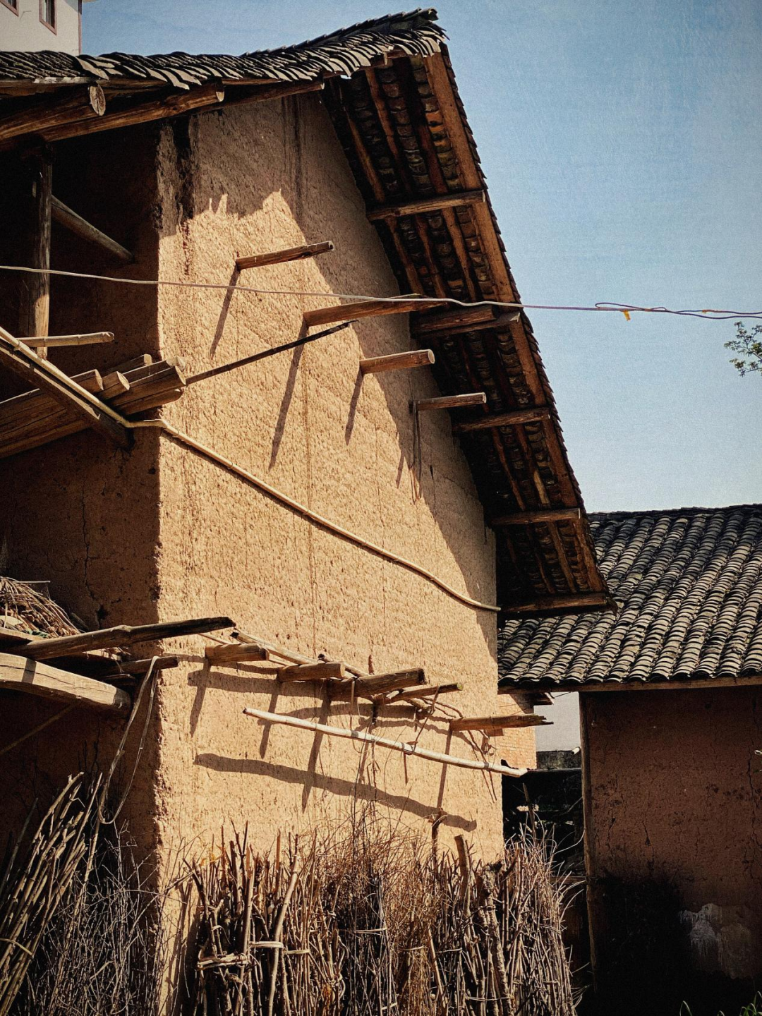 图片6.png 图片6.png