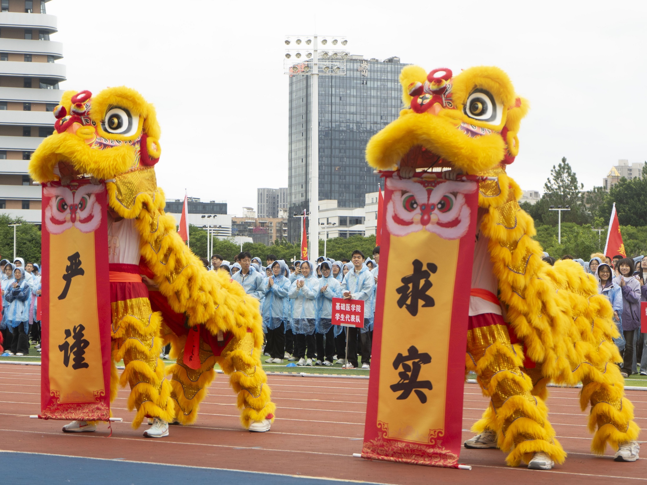 舞狮队在运动会开幕式上表演舞狮。___方荔婷供图[1].jpg