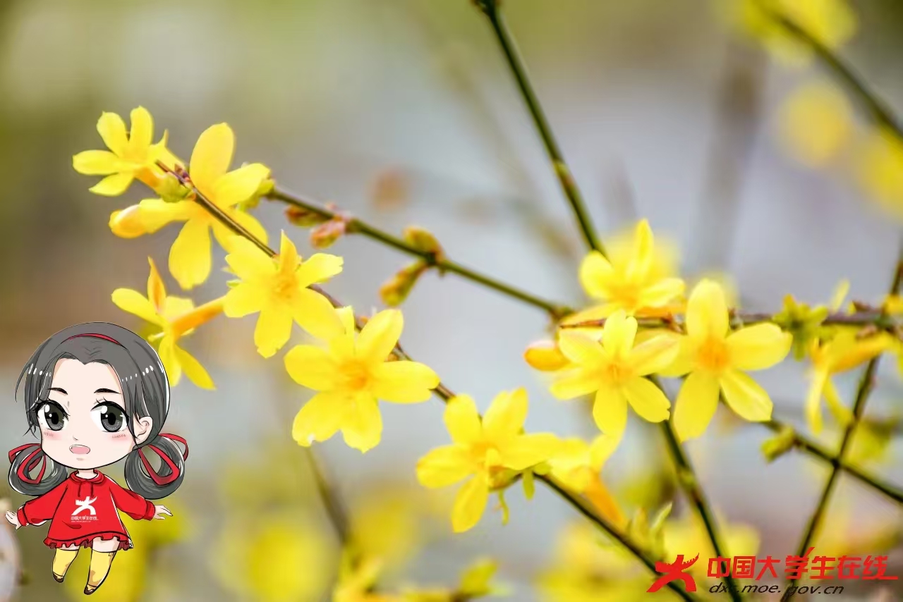 微信图片_202503142202201.jpg 微信图片_202503142202201.jpg