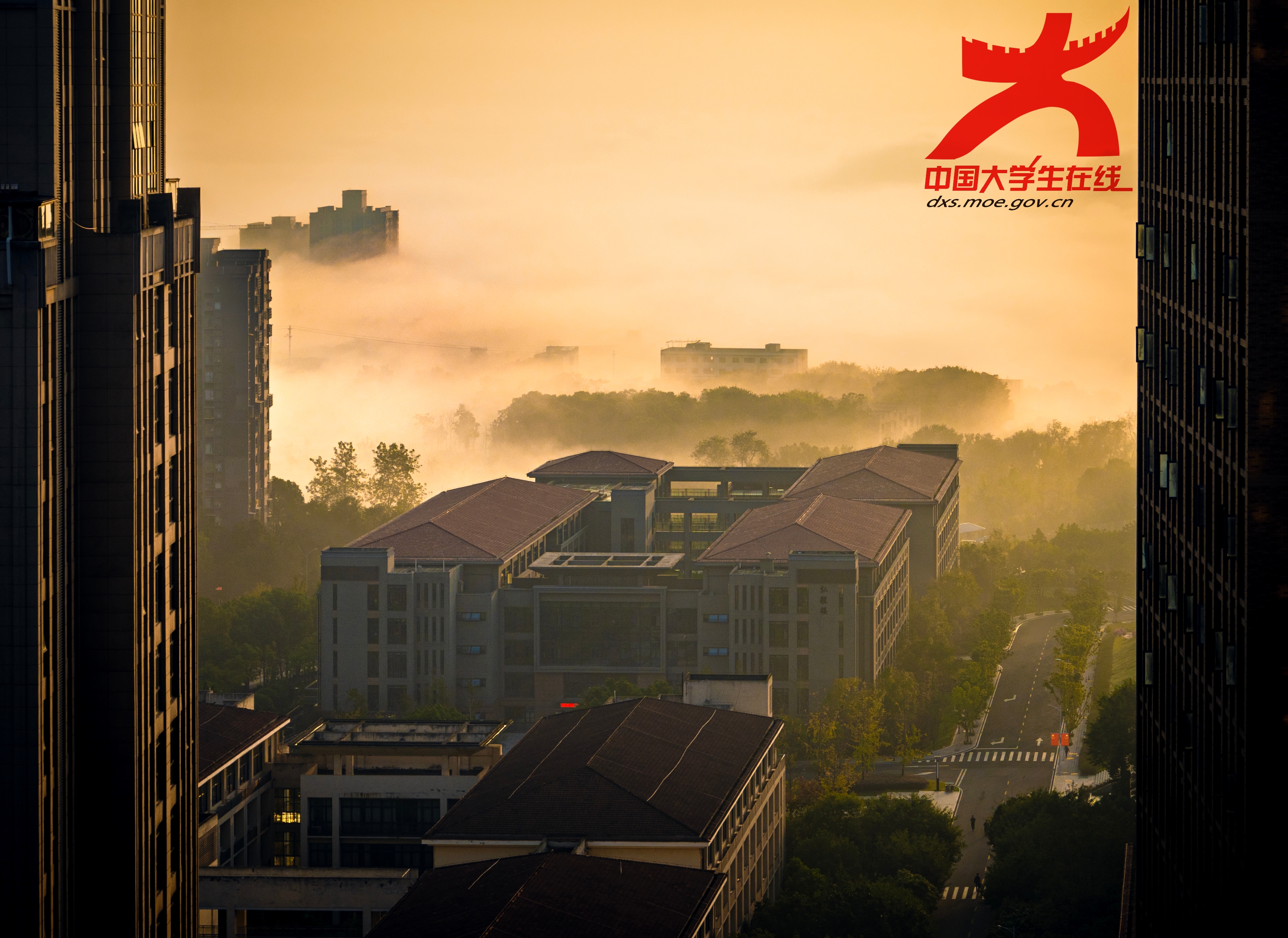 阳光穿透大雾，校园在晨光中朦胧苏醒，开启新一天的篇章。(丁禹嘉 摄）