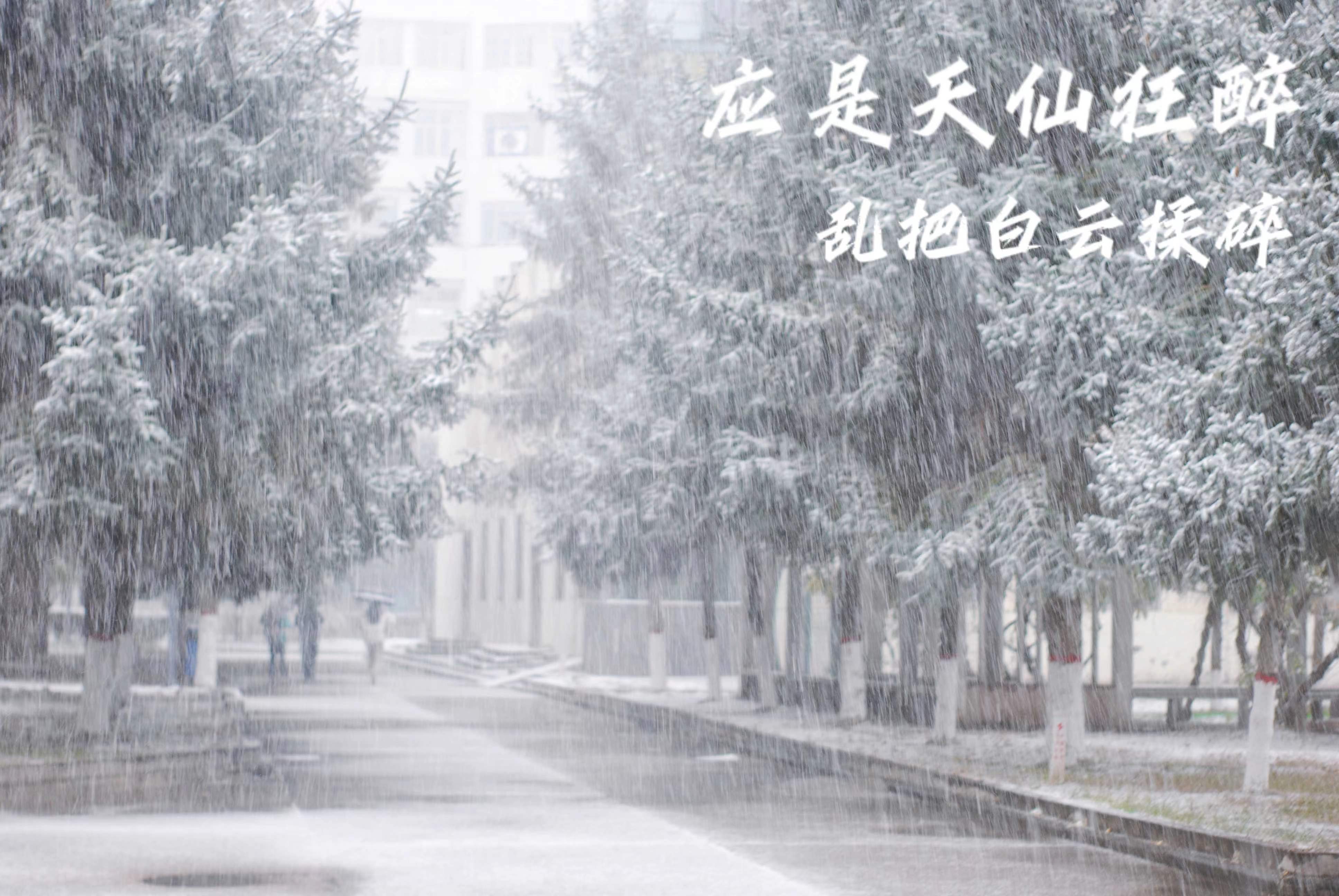 457fe755d32a36906a8538d8dc80a2b.jpg