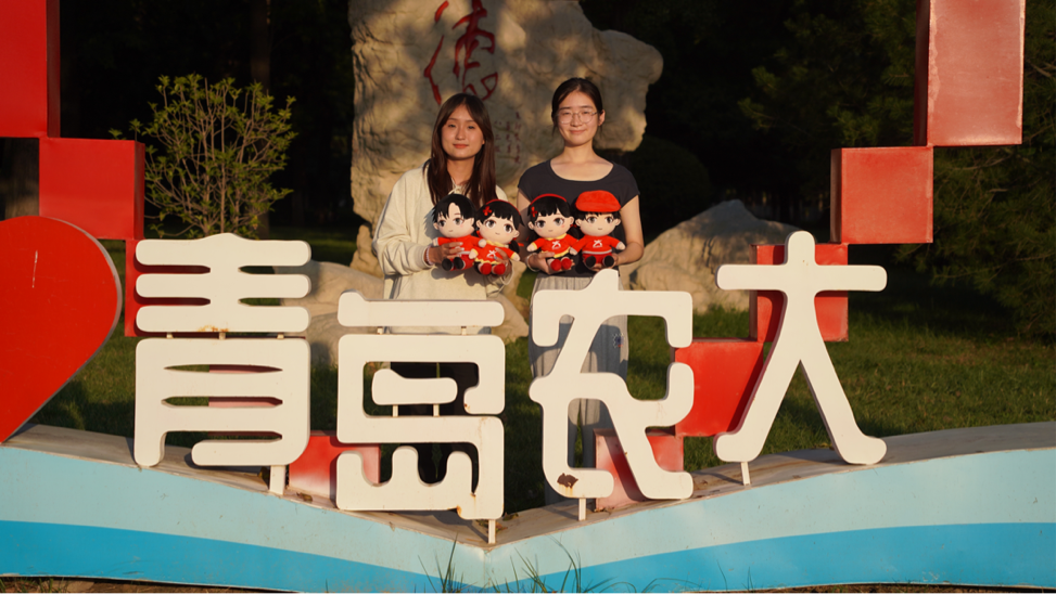 图片4.png 图片4.png