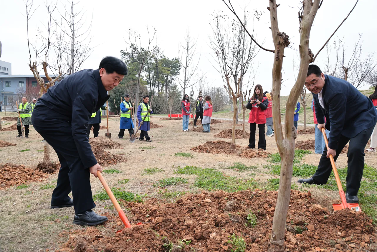 师生三五成组，挥锹铲土 扶苗培土 提桶浇水 齐心协力 相互配合