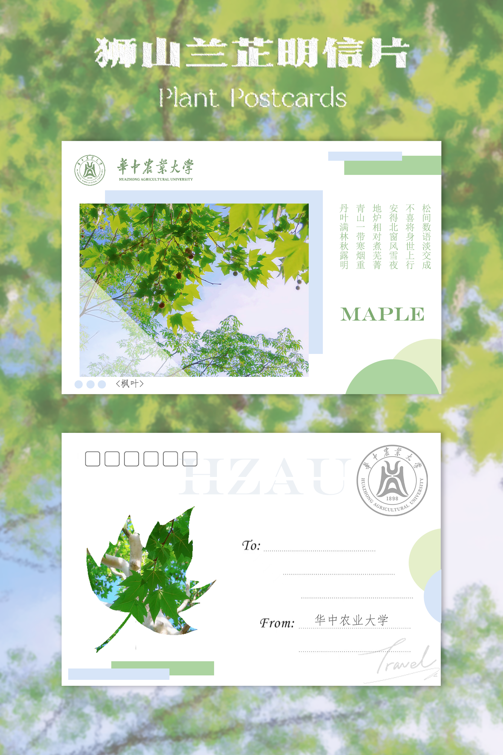 美工｜王亚晶