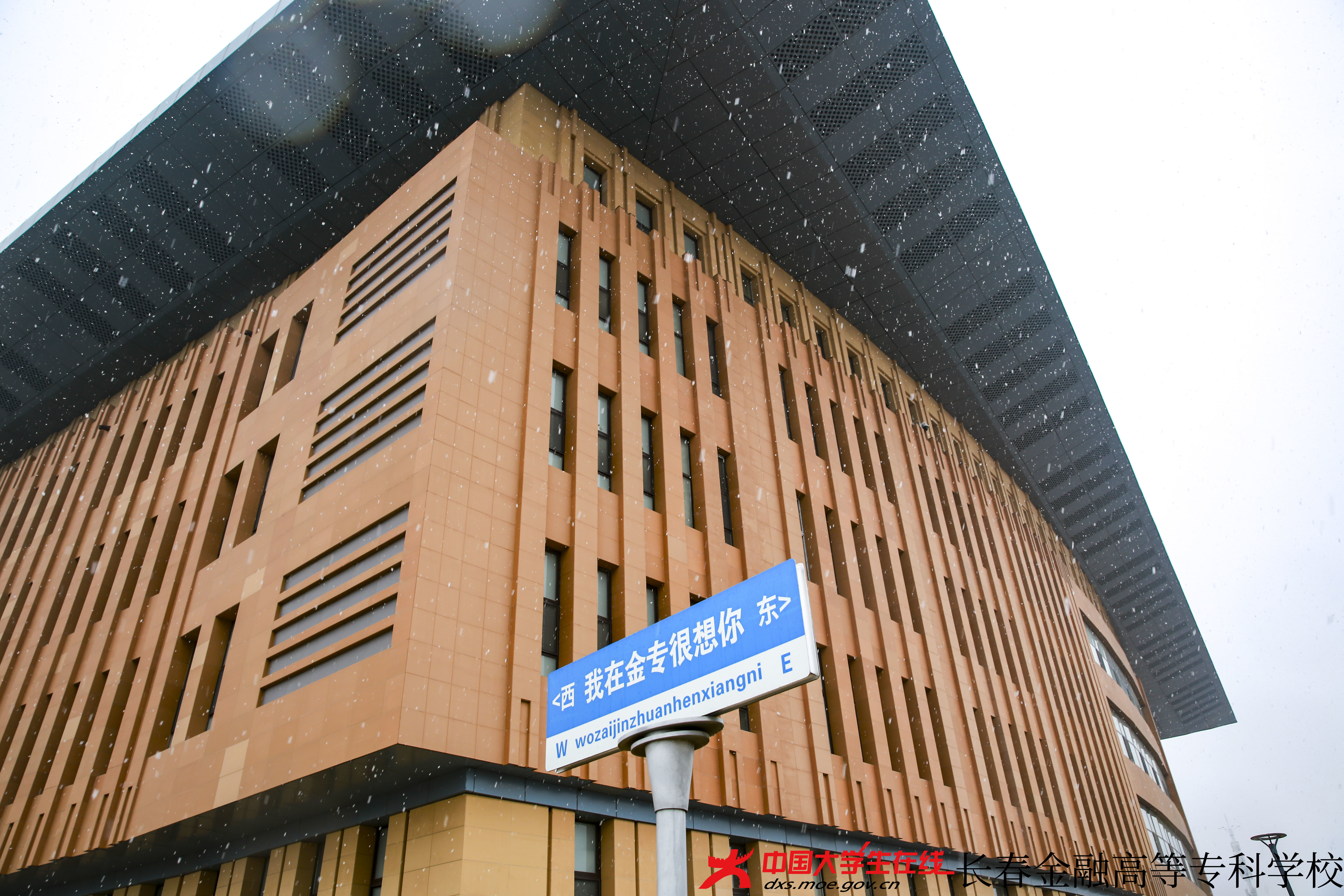 大学生记者团--金专初雪