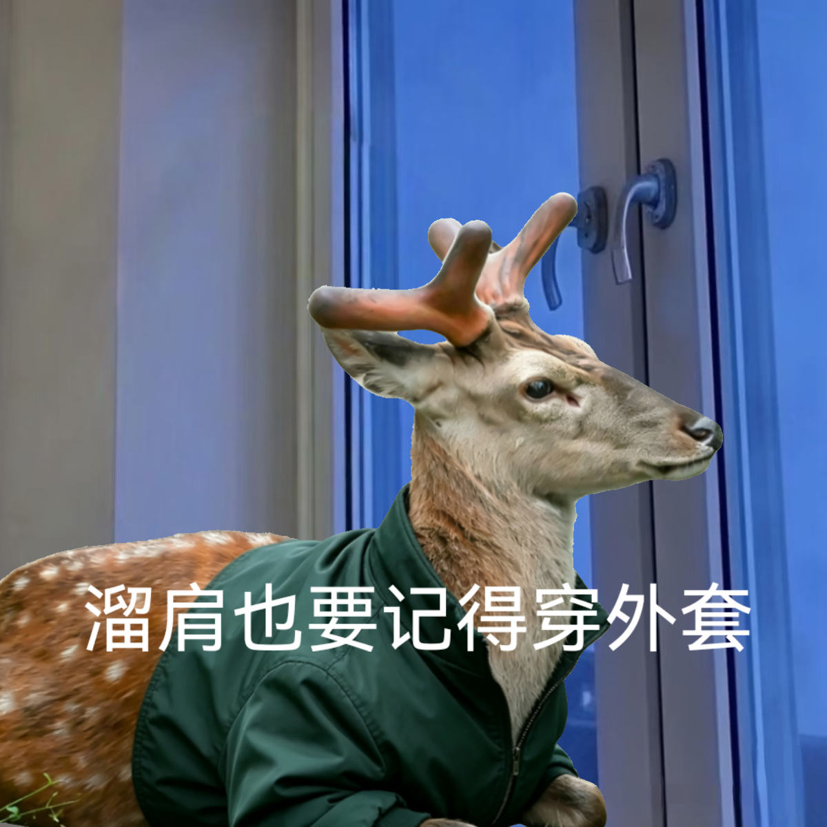 微信图片_2026-06-27_153141_855.png