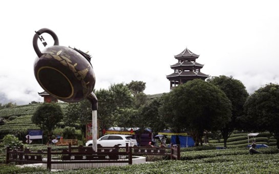 图片7.jpg 图片7.jpg