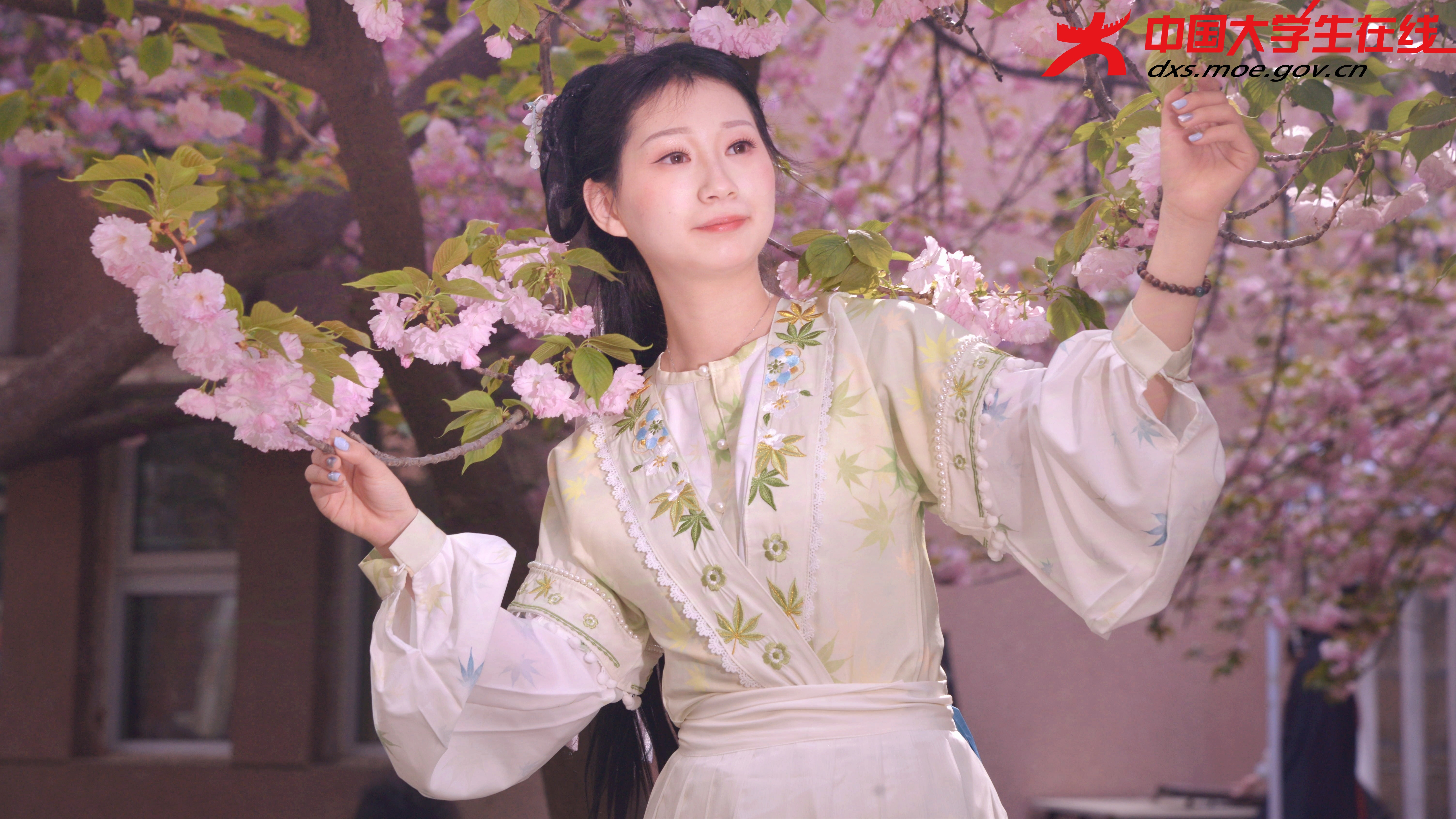 汉服少女与樱花合影  图片来源：河南农业大学