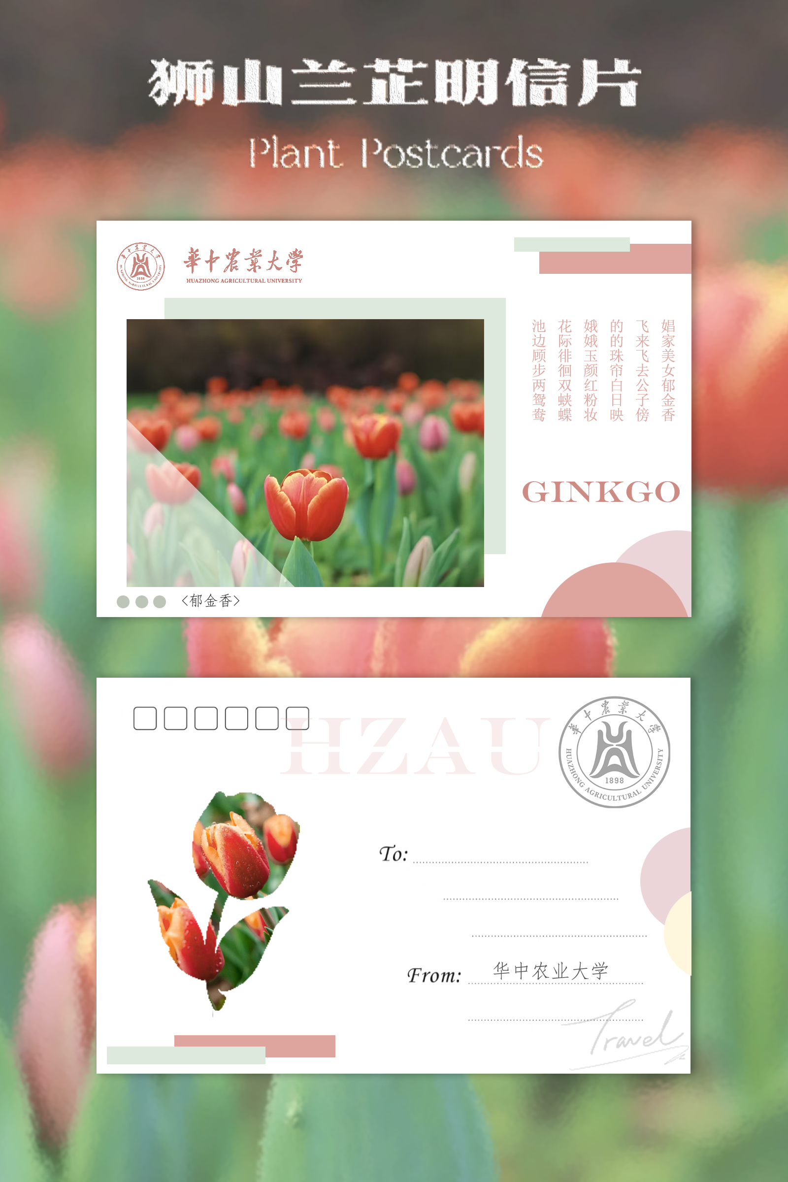 美工｜王亚晶