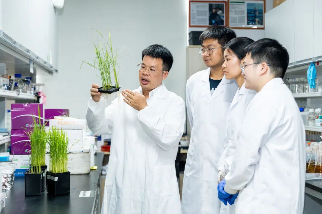 “人工智能+”赋能教育教学数智化升级-2.jpg