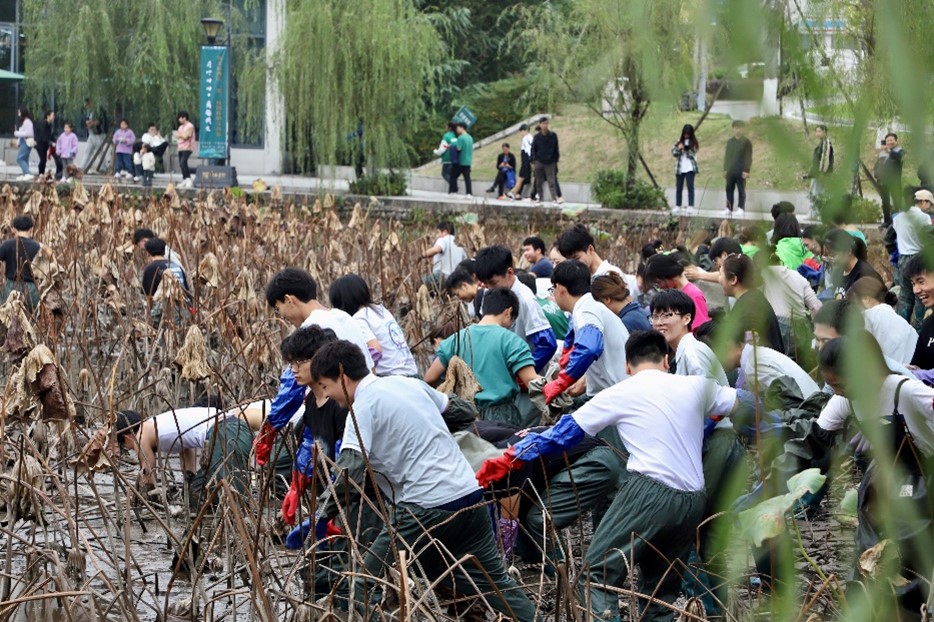 图片3.jpg 图片3.jpg