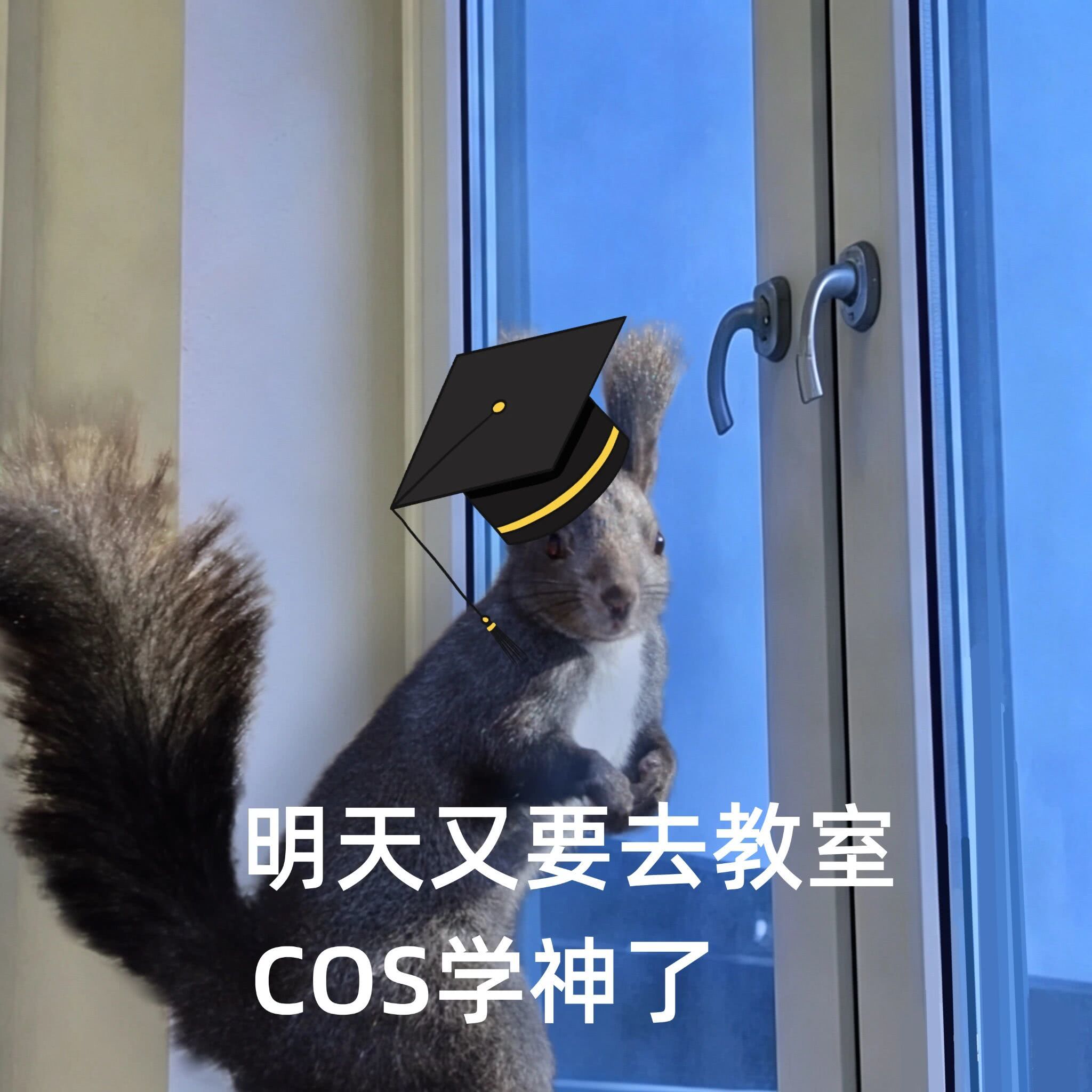 微信图片_2026-06-27_153206_059.jpg