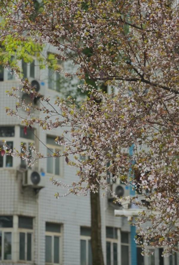【中南大学】请选择你的校园天气性格5.jpg 【中南大学】请选择你的校园天气性格5.jpg